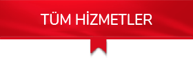 hizmet-buton